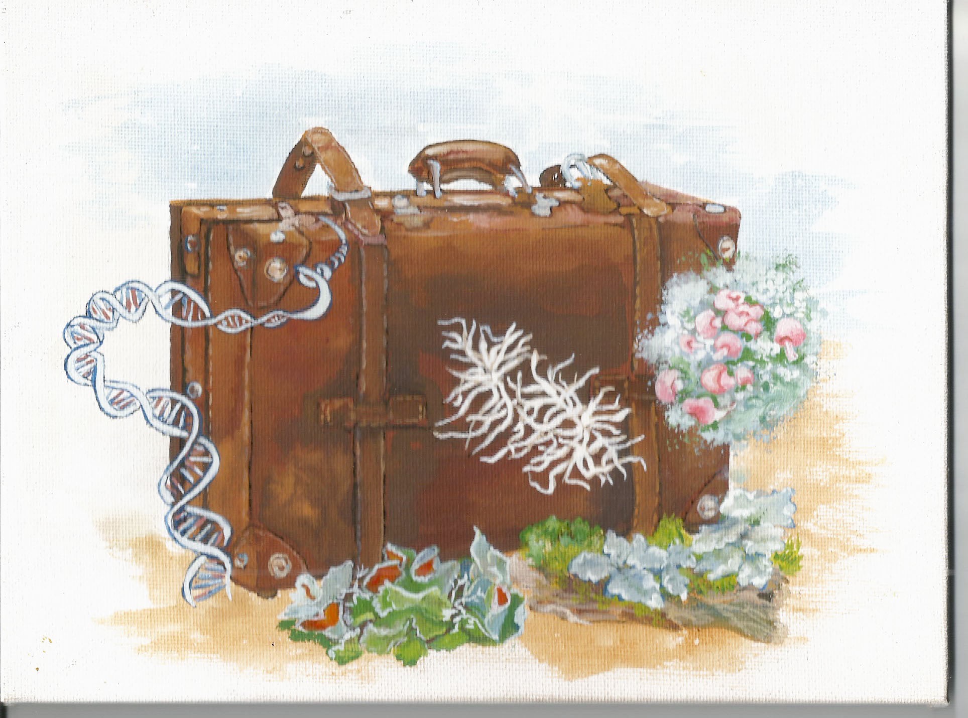 Lichen Photobionts Lab